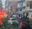 Árbol caído en Campo Valdés, comuna 4. FOTO: SECRETARÍA DE MOVILIDAD