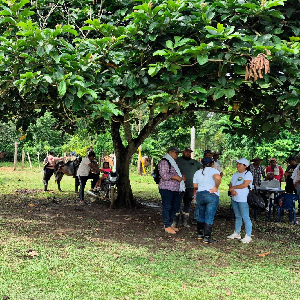 A las doce familias ya les permitieron el ingreso a su finca y han comenzado a hacer sus sembrados. FOTO: CORTESÍA FORJANDO FUTUROS