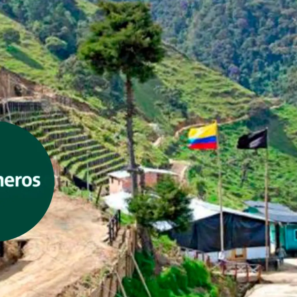 El yacimiento de oro La Colosa fue descubierto por la multinacional sudafricana AngloGold Ashanti, que inició actividades de exploración en 2006. Foto: Colprensa