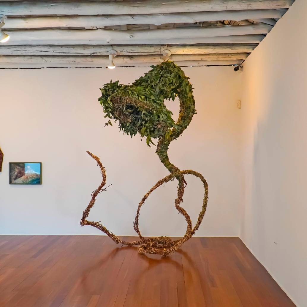Las obras ganadoras del Premio Arte Joven 2025 se exhibirán en la galería Nueveochenta, en Bogotá (en la foto). FOTO cortesía Premio Arte Joven