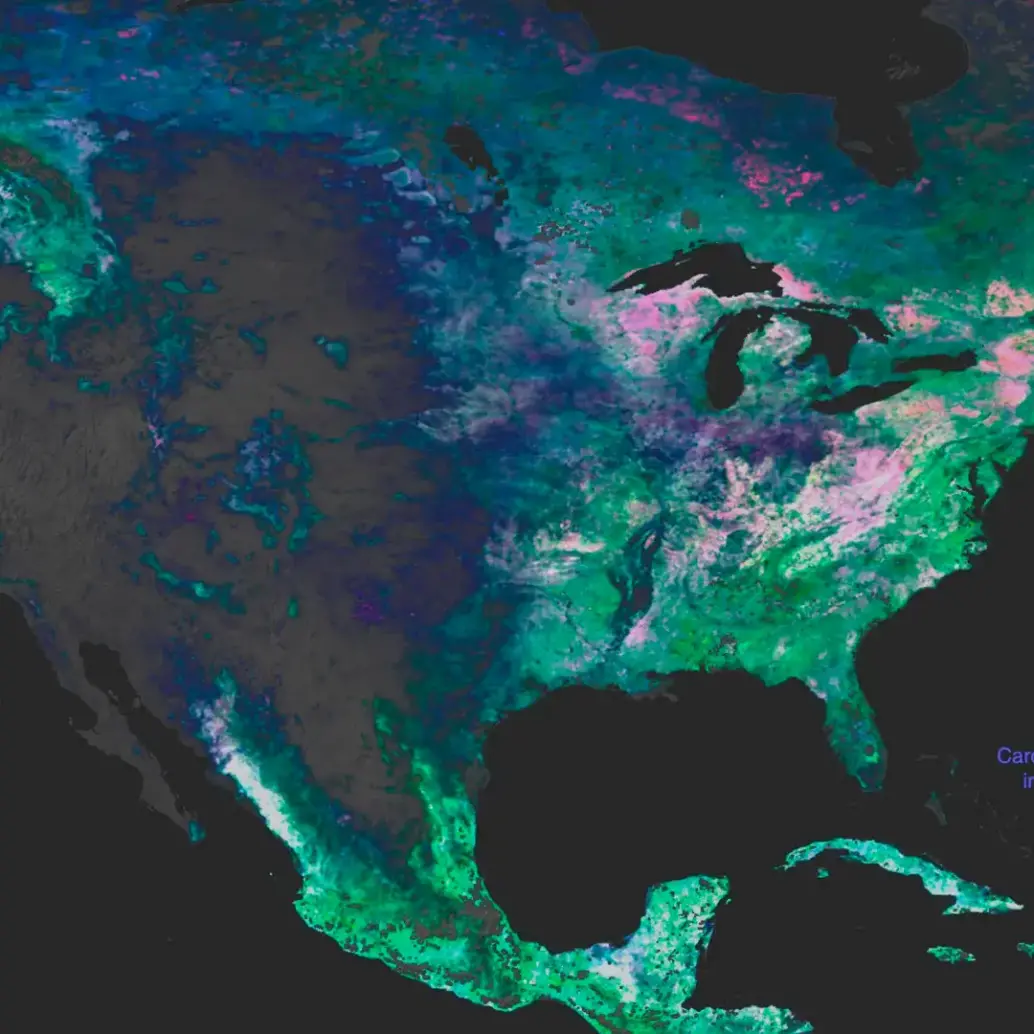 Los datos sobre antocianinas, carotenoides y clorofila iluminan América del Norte, resaltando la vegetación y su estado de salud. FOTO cortesía Estudio de Visualización Científica de la Nasa