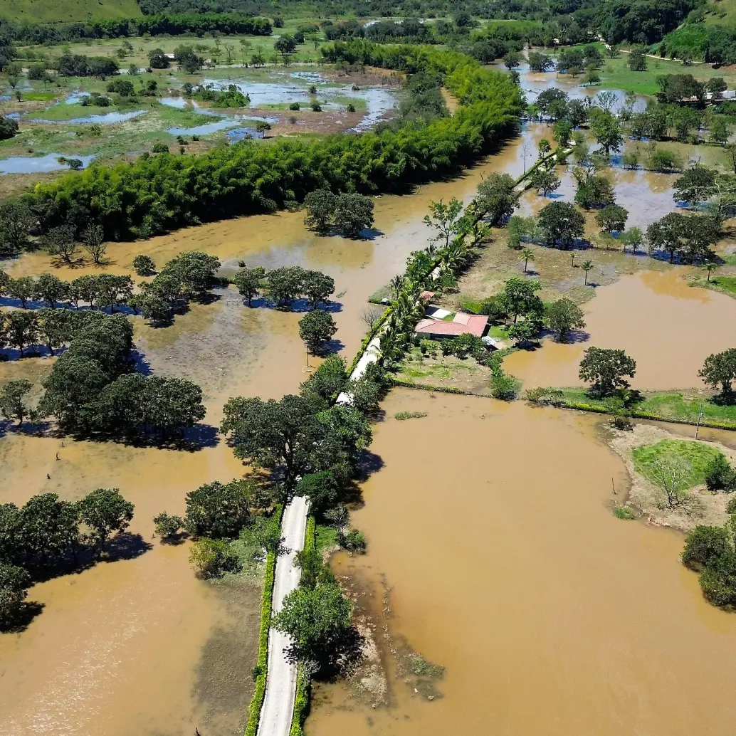Veredas de Donmatías y Santa Rosa de Osos estuvieron durante casi dos semanas con este panorama. FOTO: MANUEL SALDARRIAGA