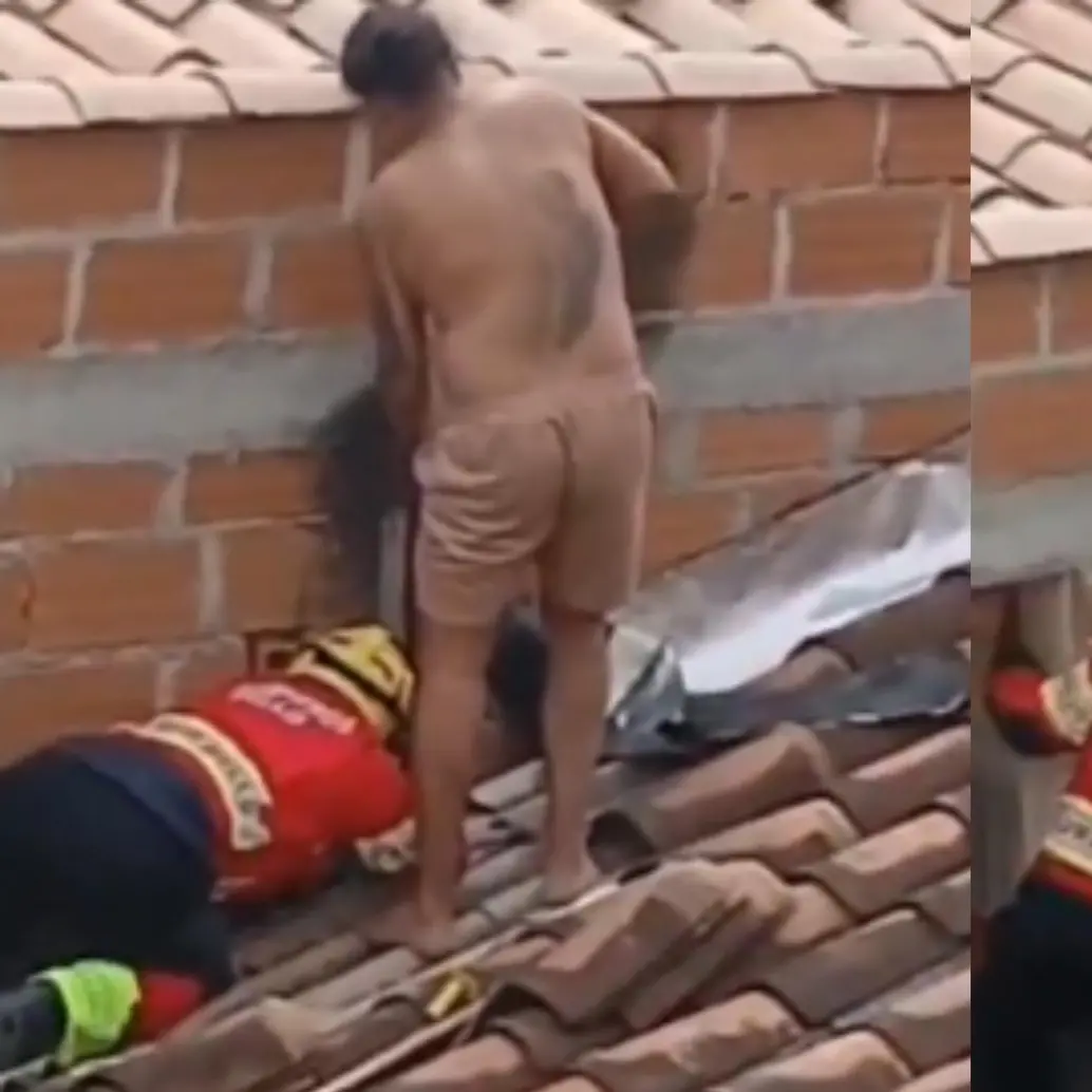 Gato fue rescatado por bomberos tras quedar atrapado entre dos paredes en Bello. FOTO: captura de video. 