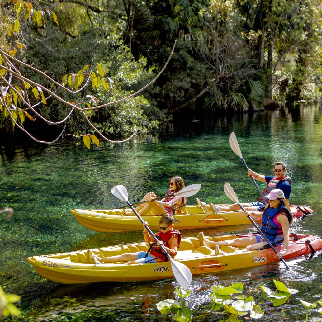 Okala, Silver Springs. Foto: Cortesía. 