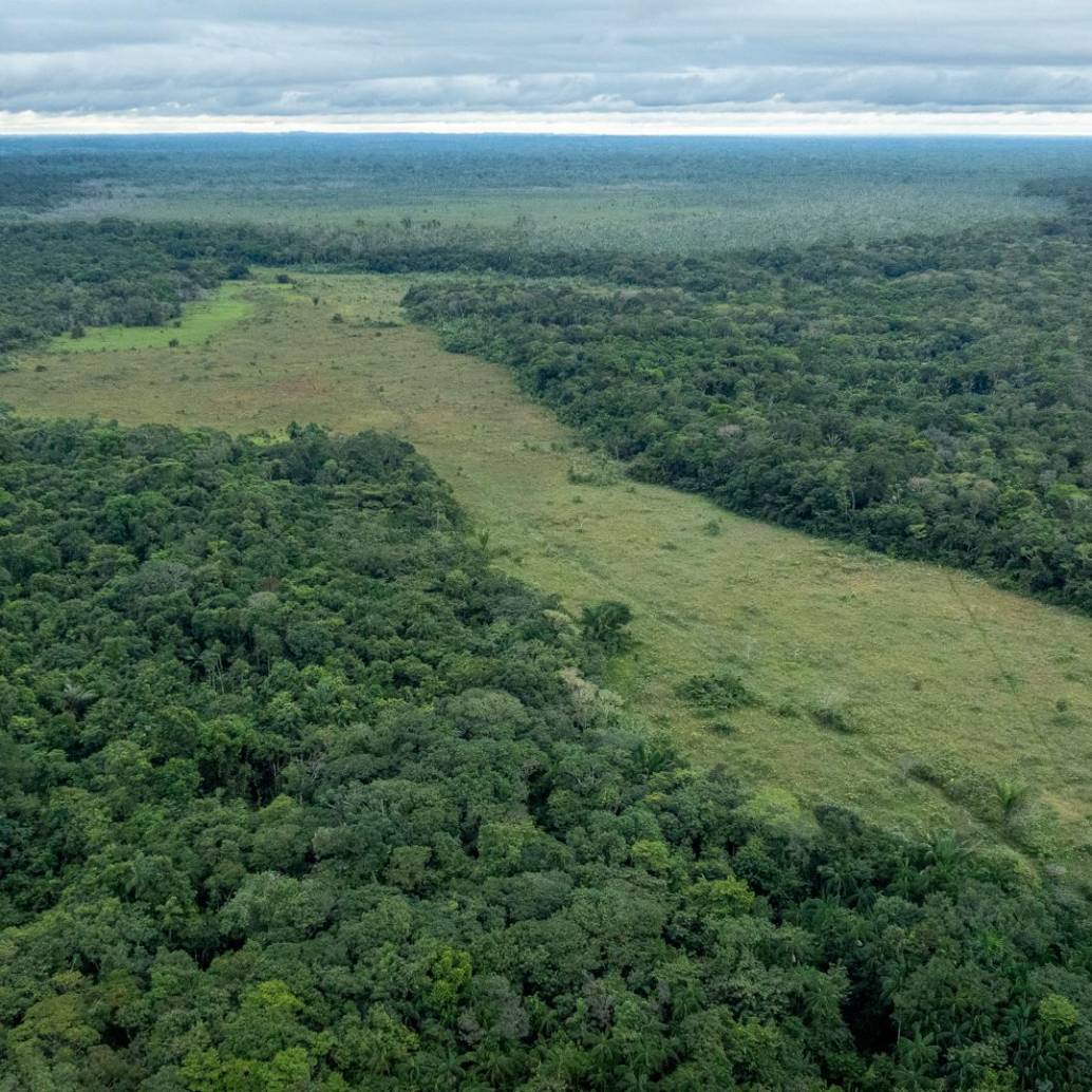 El documento establece siete principios orientadores para la formulación de políticas públicas en esa región. FOTO cortesía Sebastian Di Domenico