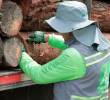 Más de 1.500 metros cúbicos de madera ilegal han sido incautados en el Valle de Aburrá entre 2023 y 2024. FOTO: CORTESÍA