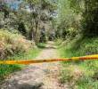 Asesinaron a dos hombres en zona rural de Sonsón, ¿por ajuste de cuentas?