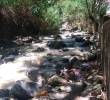 Encontraron el cuerpo de Marlon flotando en la quebrada Santa Elena