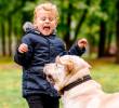 ¿Por qué a las personas no les gustan los perros? Tres razones psicológicas