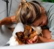 Temperatura del agua para bañar a tu mascota