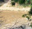 Otro cuerpo que aparece en el río: 18 cadáveres hallados en 2026