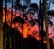 ¡Pilas con las quemas! Barbosa decretó alerta naranja por incendios forestales
