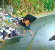 EN VIDEO: por basuras hay una ratonera muy brava en Altavista