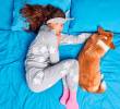 Dormir con perros y gatos: ¿un placer o un riesgo? Aquí le contamos