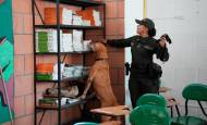 La requisa a las instalaciones escolares ayudada por perros es uno de los componentes de la campaña. FOTO: ALCALDÍA DE RIONEGRO