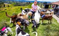 Lilibet rescata en su fundación a perros, gatos y animales de granja expuestos a diferentes formas de maltrato. FOTO: EL COLOMBIANO