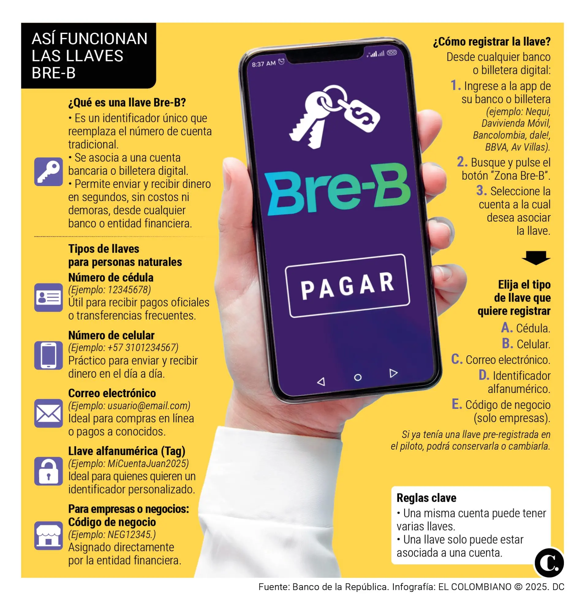InfogrÃ¡fico