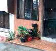 A Ivar le dispararon delante de su papá en Villa Flora y murió en un hospital