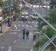 Presunto ladrón resultó herido tras enfrentarse a bala con la Policía