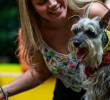 Obesidad en perros: estas son las razas más propensas a sufrirla