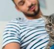 ¿Mi gato me recordará cuando sea viejo? Esto dice la ciencia
