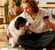 ¿Por qué los perros empujan el celular con el hocico?