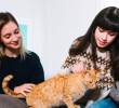 ¿Por qué les hablamos a nuestras mascotas?