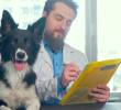 Esterilización canina: guía esencial para el bienestar de tu perro