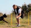 Los cinco deportes para perros más populares