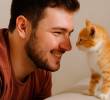 Cuánto cuesta adoptar un gato y mantenerlo ¡Acá te contamos!