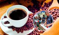 El café de barrio convive en Medellín con una oferta creciente de cafés especiales y métodos de preparación que llevan el precio de una taza a varios miles de pesos. FOTOS EL COLOMBIANO