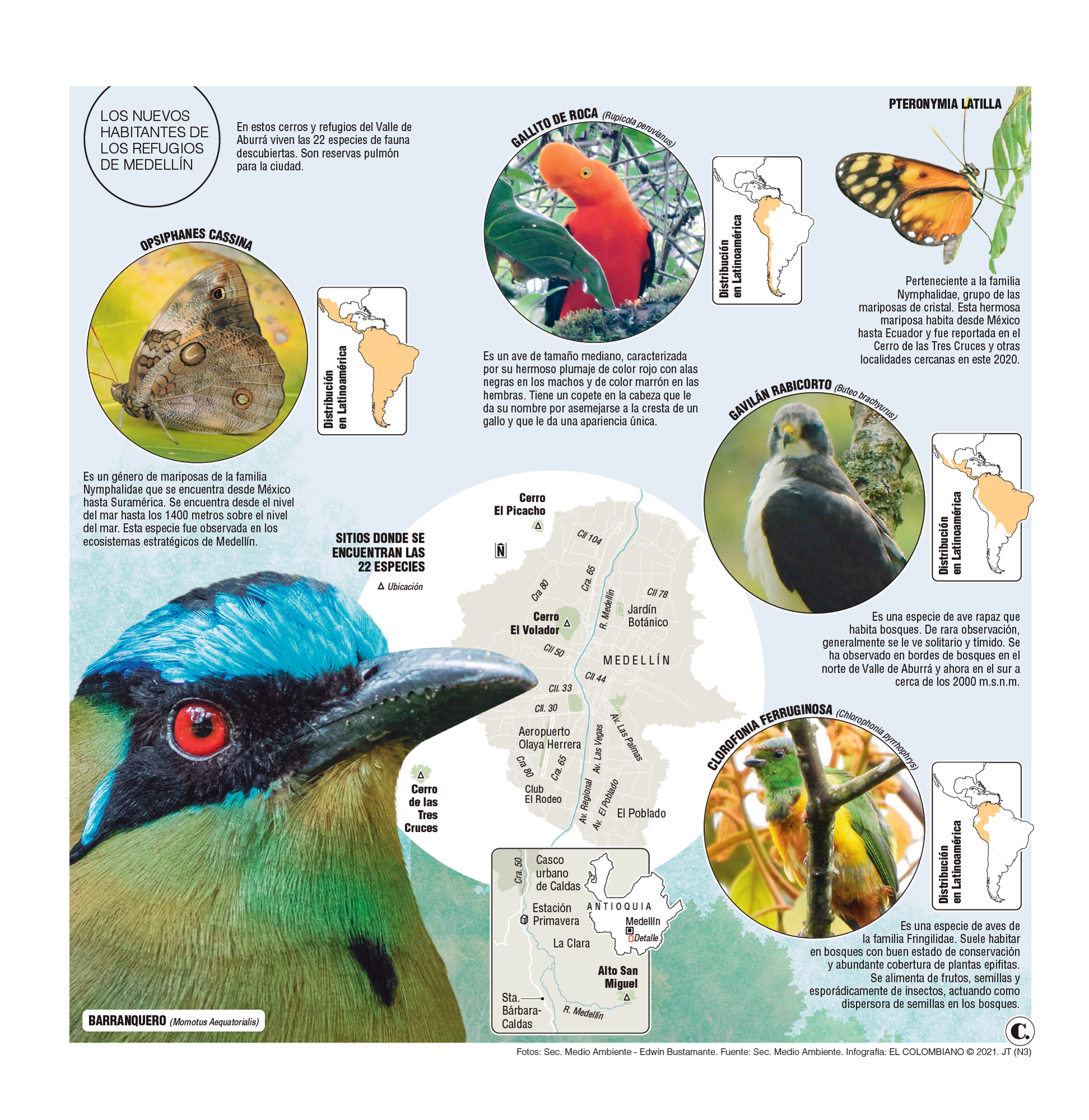 InfogrÃ¡fico