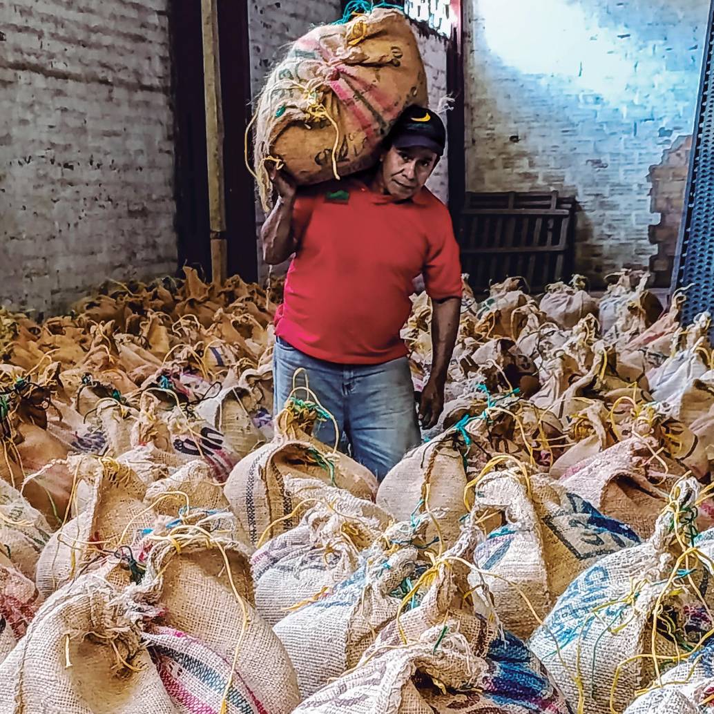 Los caficultores de Andes se reunieron ayer en la sede de acopio de Parque Jardín para hablar sobre la reactivación de la cooperativa. <span class="mln_uppercase_mln">FOTO</span> <b><span class="mln_uppercase_mln">JULIO CÉSAR HERRERA</span></b> 