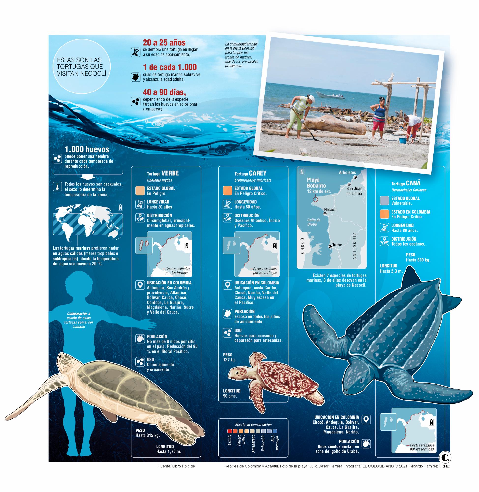 InfogrÃ¡fico