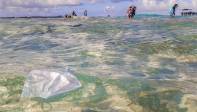 La ONG Oceans Asia reveló que la cifra de tapabocas liberados en el mar en 2021 fue de 1.560 millones aproximadamente. Foto: Juan Antonio Sánchez Ocampo
