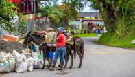 Los pobladores a orillas de la vía la utilizan para desplazarse con sus animales de carga. Foto Juan Antonio Sánchez Ocampo