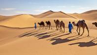 Las imágenes de camellos y dromedarios cruzando las dunas son comunes. Foto: GETTY