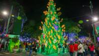 Un árbol verde, de unos ocho metros de altura, se yergue, repleto de estrellas, como atractivo central del parque principal. Foto: Edwin Bustamante