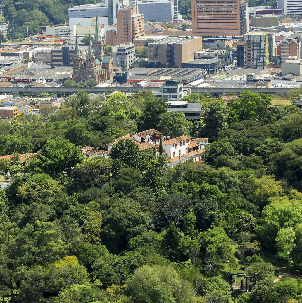 Panorámica del Cerro Nutibara en pleno centro de Medellín. Foto: Andrés Camilo Suárez Echeverry