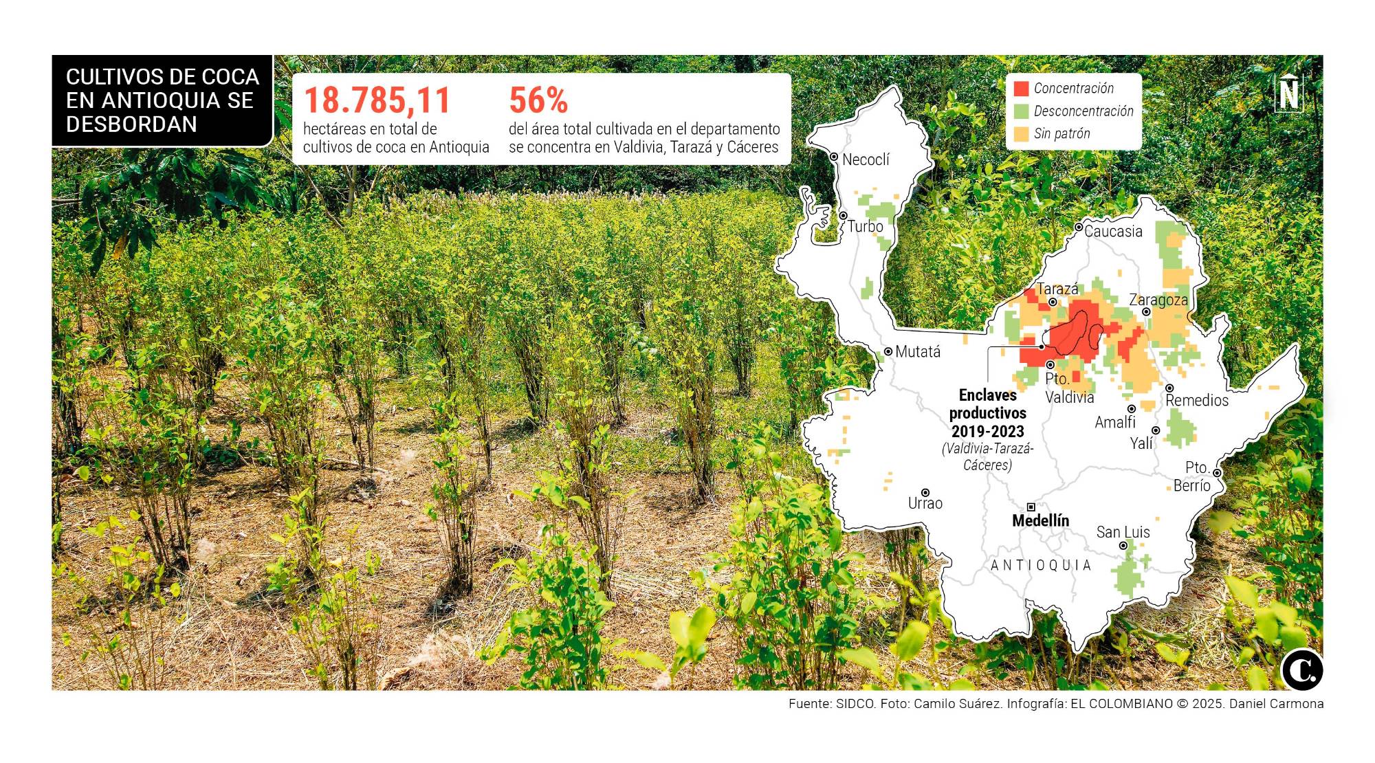 InfogrÃ¡fico