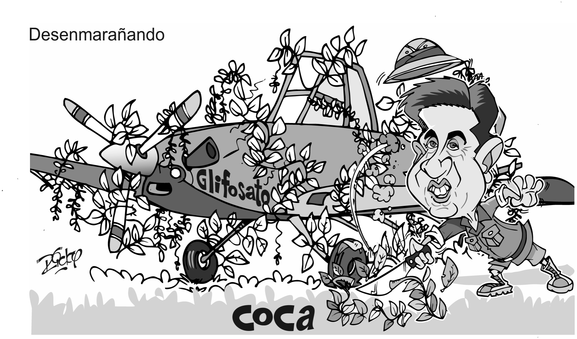InfogrÃ¡fico
