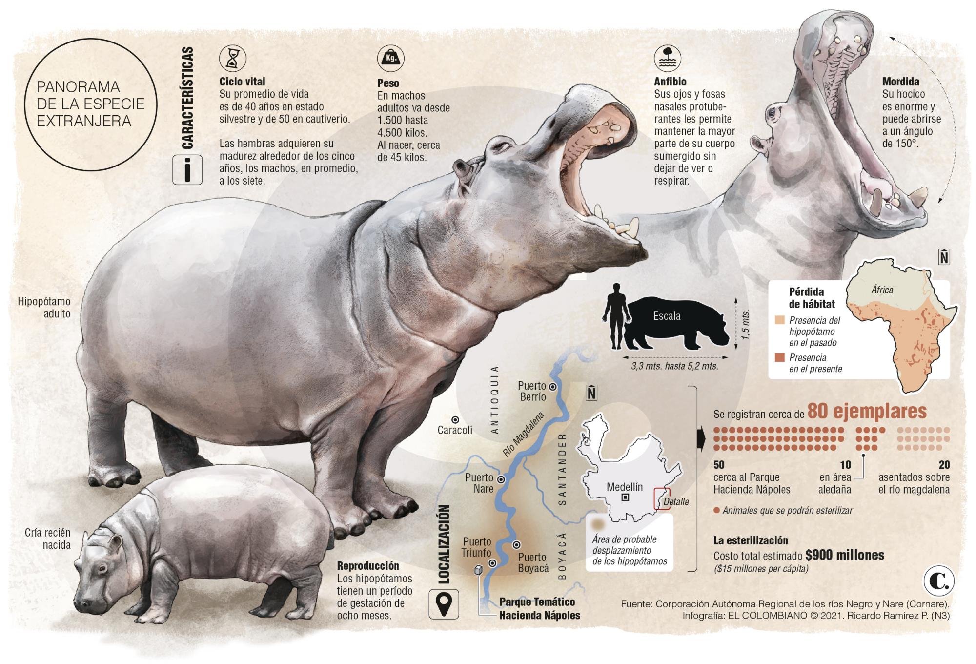 InfogrÃ¡fico