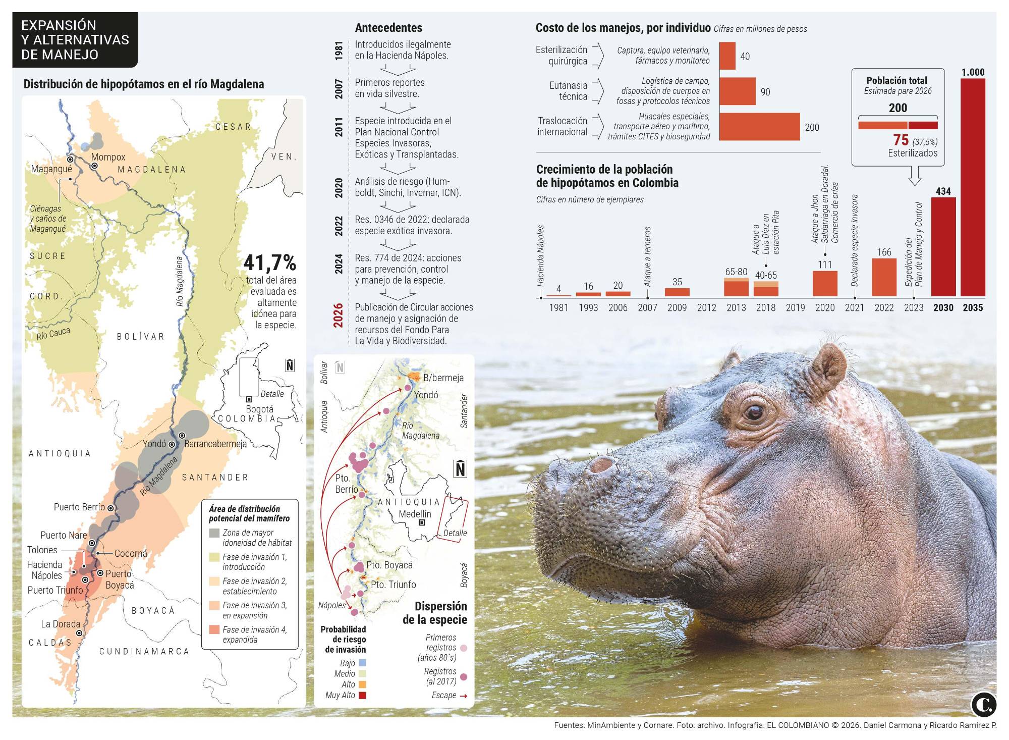 InfogrÃ¡fico
