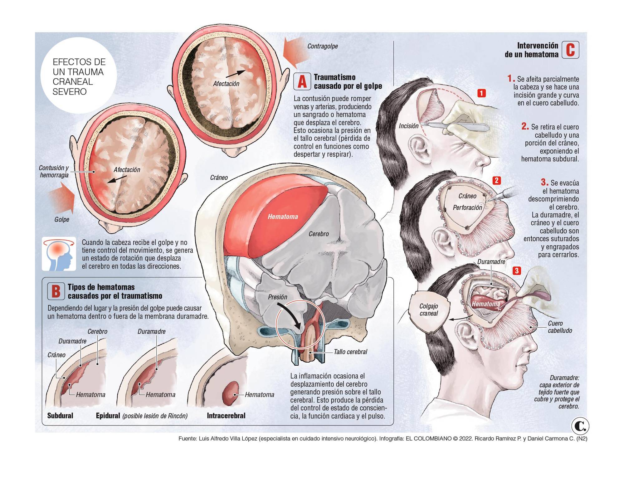InfogrÃ¡fico