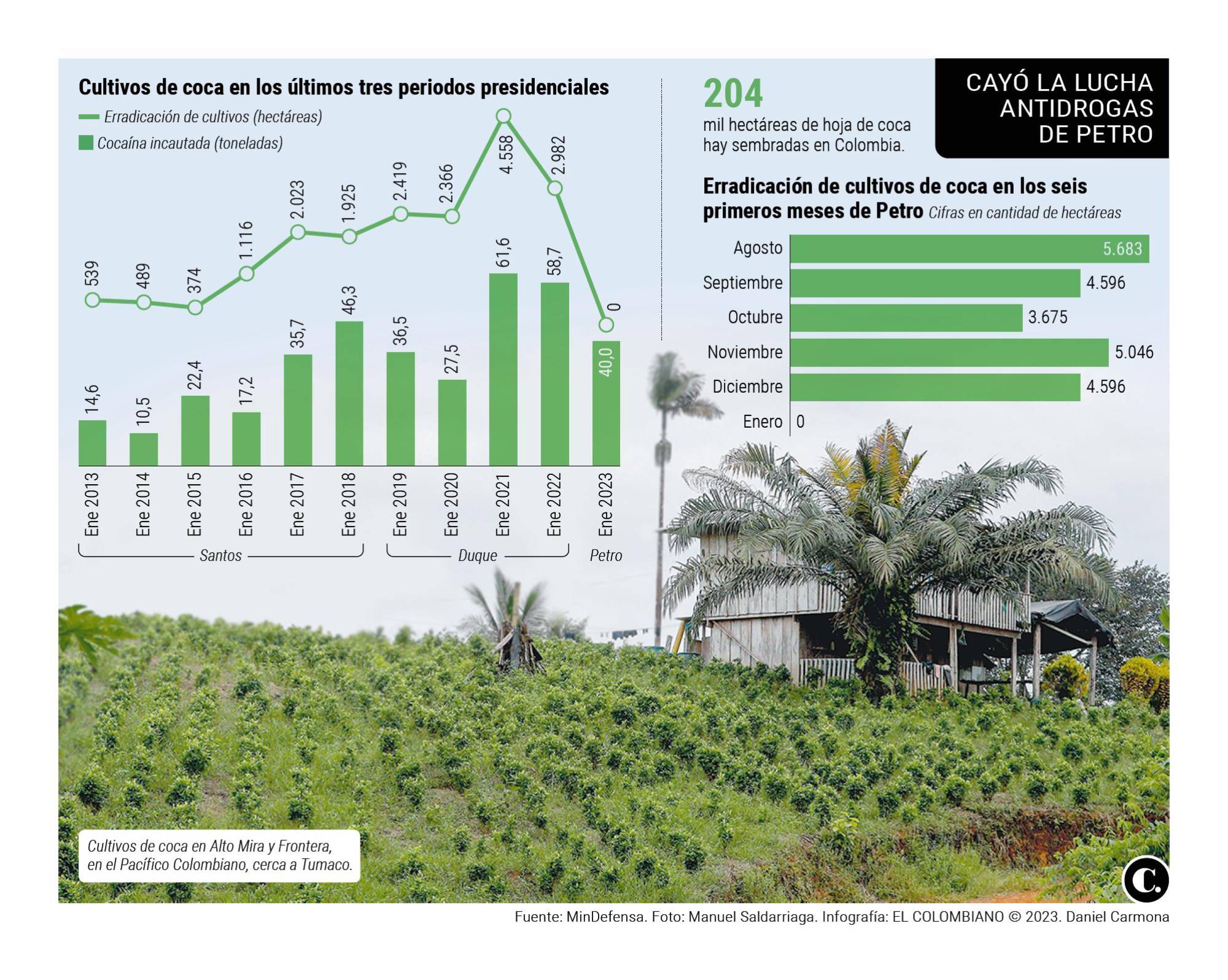 Freno en seco: ni una hectárea de coca se erradicó en enero
