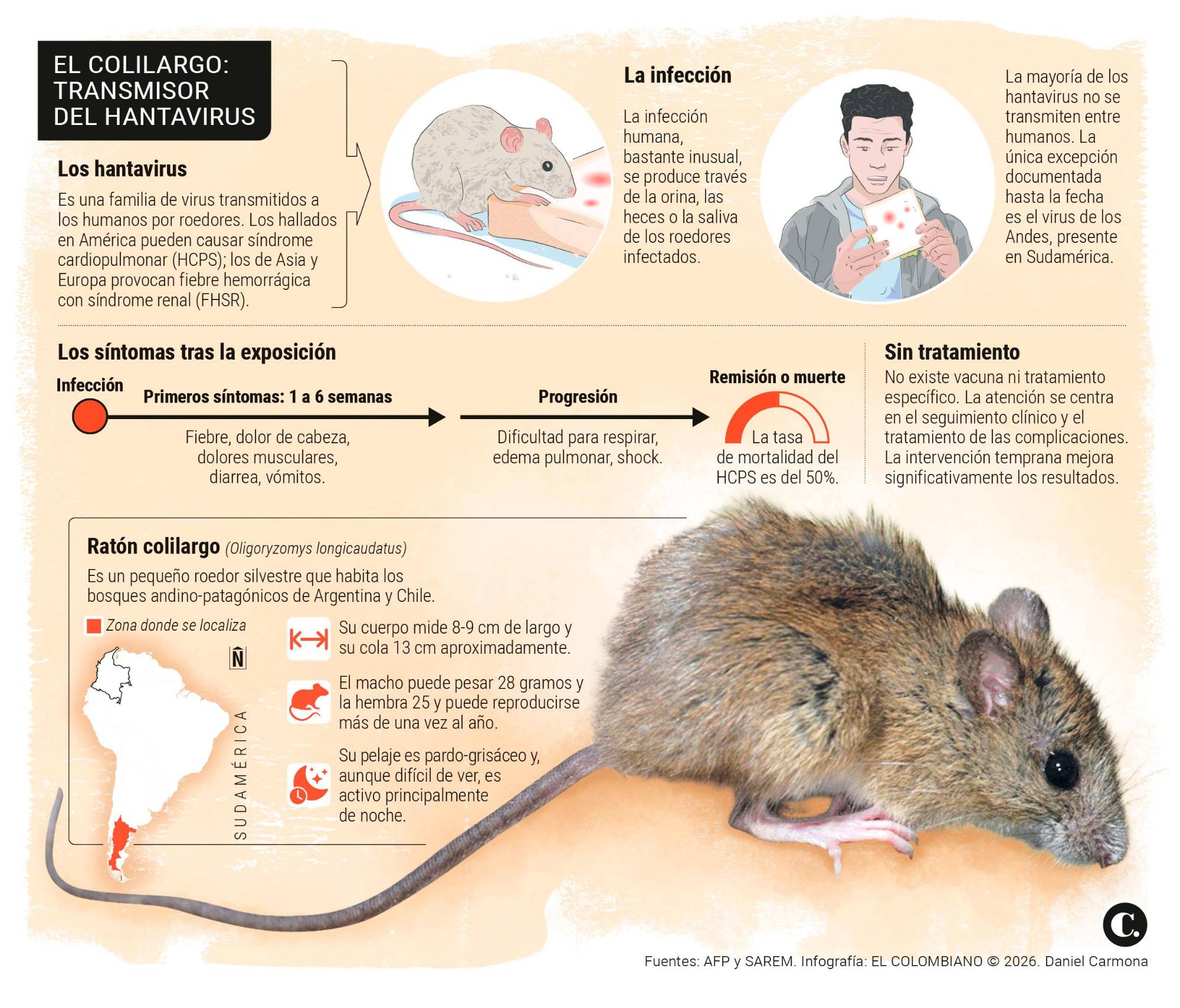 InfogrÃ¡fico