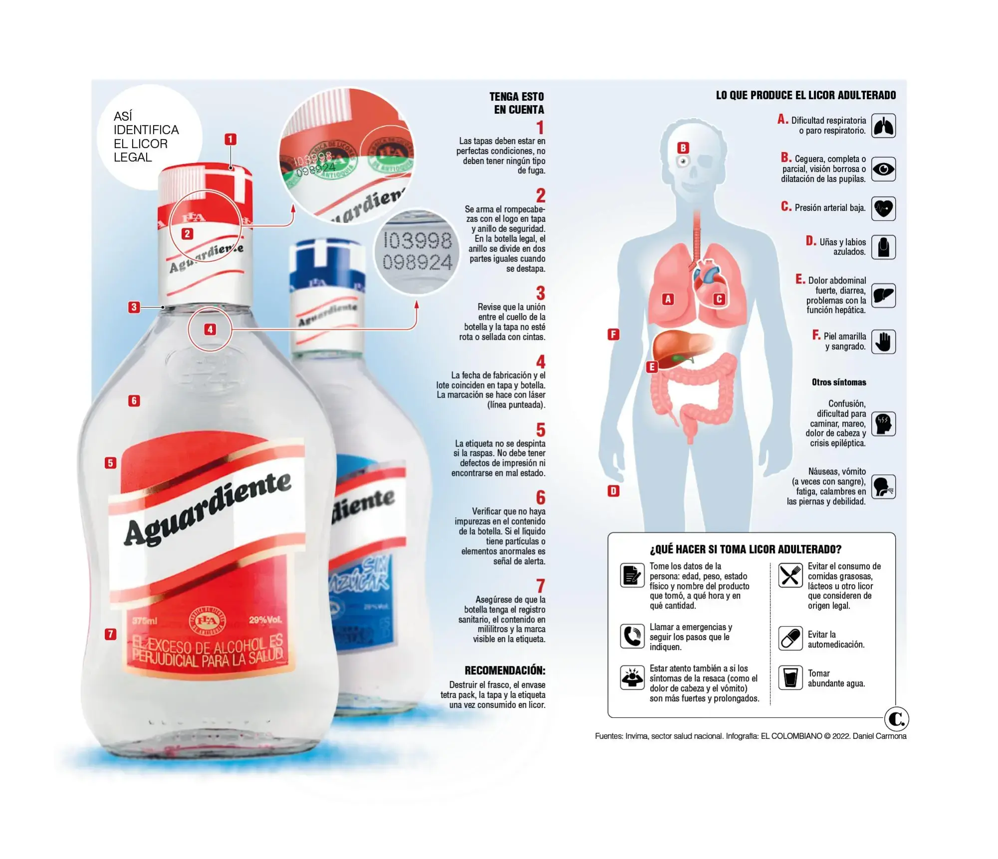 InfogrÃ¡fico