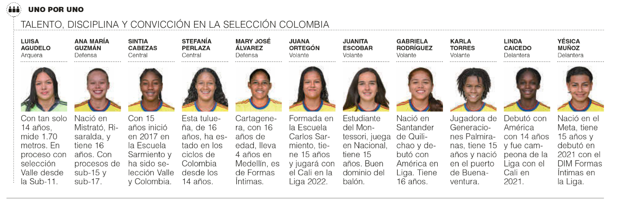 InfogrÃ¡fico