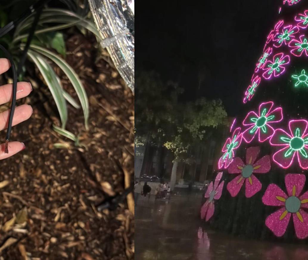 Entre los casos más graves están los robos reportados en el Árbol de Navidad de la Plaza Botero, donde los vándalos se robaron 65 metros de cable dúplex. FOTO: Cortesía EPM