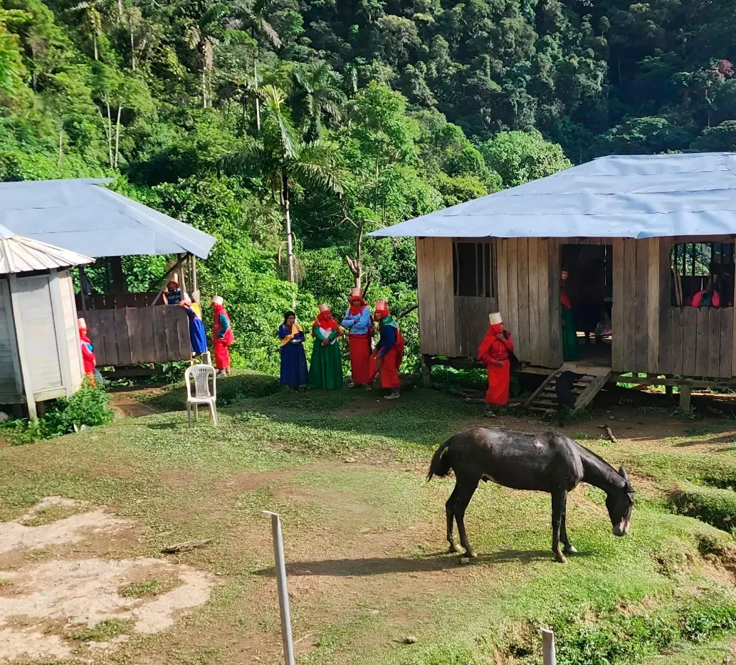 El chindau es el sombrero construido con bejucos que portan los hombres y mujeres de Jaidukamá. Representa el firmamento y el arcoíris. FOTO<b><span class="mln_uppercase_mln"> cortesía</span></b>